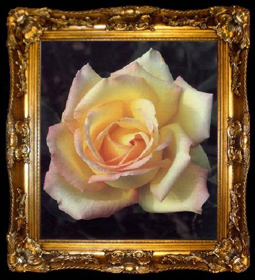 framed  unknow artist Still life floral, all kinds of reality flowers oil painting  385, ta009-2
